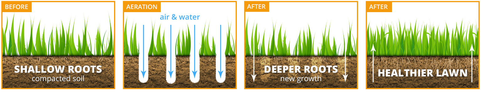 benefits of lawn aeration