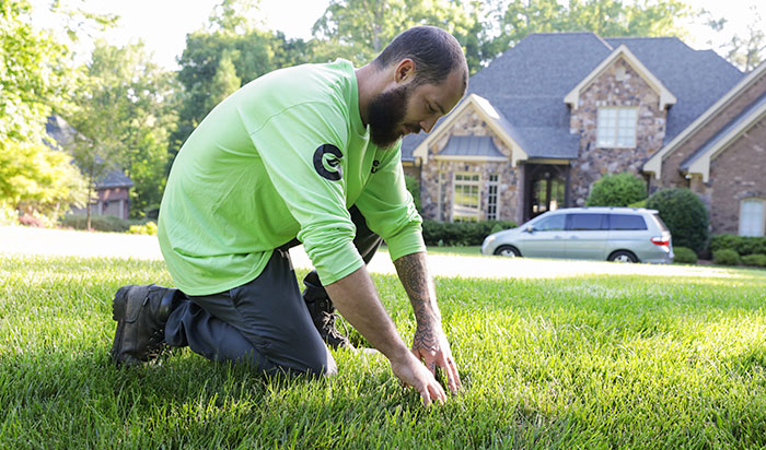 A man touching grass.